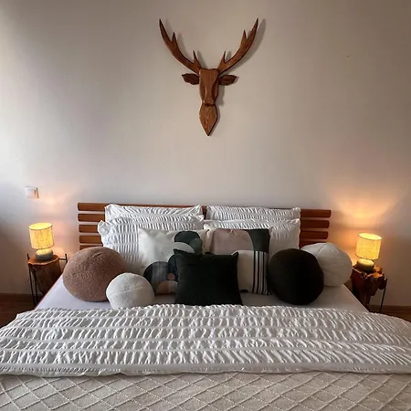 U Jelena S Parkovacim Mistem V Centru Mesta Appartement Ceske Budejovice