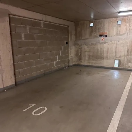 U Jelena S Parkovacim Mistem V Centru Mesta * Ceske Budejovice